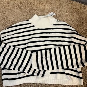 Forever 21 Black and White Striped Turtleneck Sweater